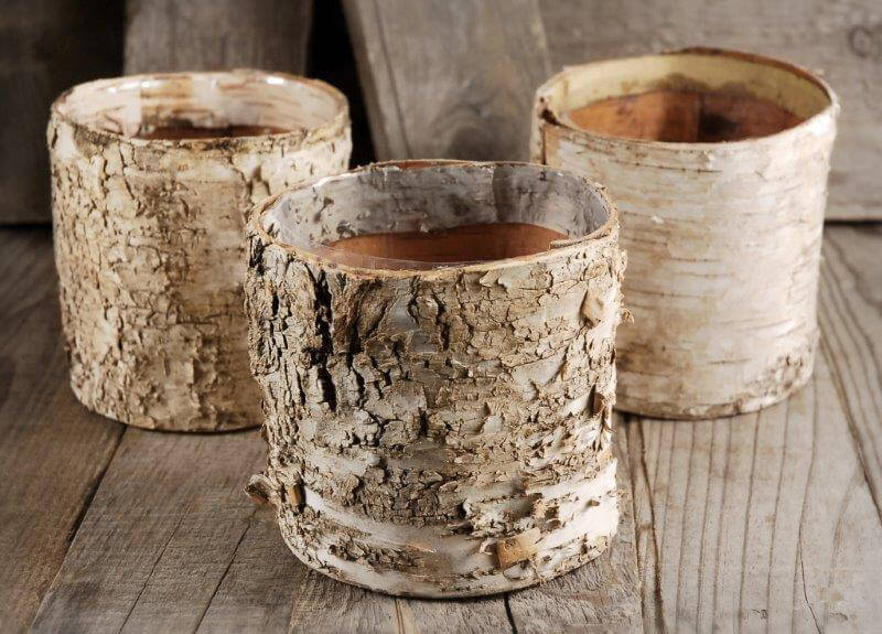 Birch Bark Planter Pots W Plastic Liner